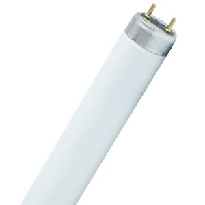 18W Fluorescent Tube Col 865 T8 (2') 600mm