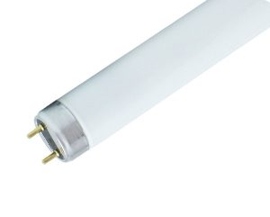 Linear - T8 Fluorescent Tube